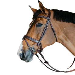 Dyon - Bridon muserolle combinée large New English tressé pull back cuir havane Hot