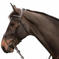 Dyon - Bridon muserolle hybride D Collection Havane
