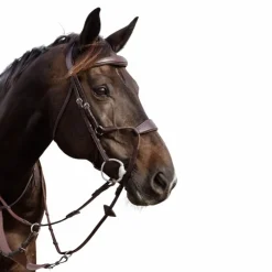 Dyon - Bridon muserolle hybride élastique New English Collection marron Havane Hot