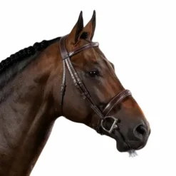 Best Dyon - Bridon muserolle large Hunter US Collection Havane