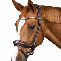 Dyon - Bridon muserolle large Round avec frontal à cristaux Marron New