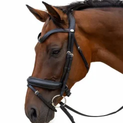 Clearance Dyon - Bridon muserolle Medium Noir