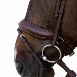Dyon - Bridon muserolle Medium Marron Clearance