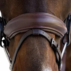 Dyon - Bridon muserolle Medium Marron Clearance