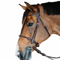 Hot Dyon - Bridon muserolle tressée sous-barbe amovible cuir Havane