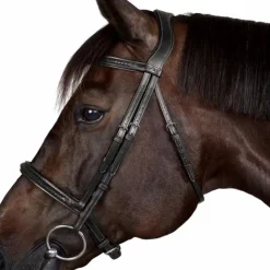 New Dyon - Bridon New English Collection Noir