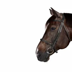 New Dyon - Bridon New English Collection Noir