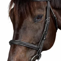 New Dyon - Bridon New English Collection Noir