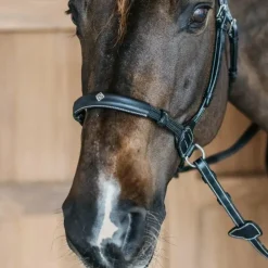 Dyon - Bridon sans mors Working by Dy'on Noir Best