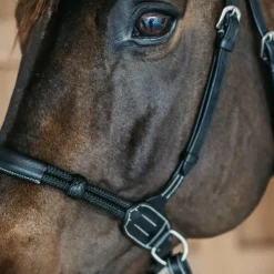 Dyon - Bridon sans mors Working by Dy'on Noir Best