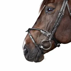 Clearance Dyon - Bridon tressé avec noseband amovible New English Collection Noir