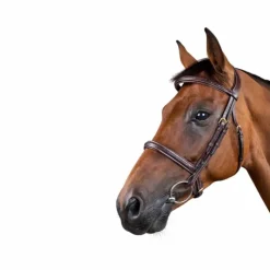 Dyon - Bridon tressé Dy'on Collection Marron Clearance