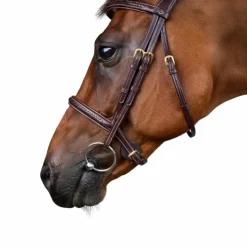 Dyon - Bridon tressé Dy'on Collection Marron Clearance