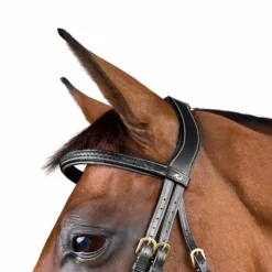 Dyon - Bridon tressé Dy'on Collection Noir Discount