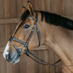 Dyon - Bridon Working Motion Working By Havane