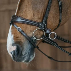 Dyon - Bridon Working Motion Working By Havane