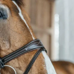 Dyon - Bridon Working Motion Working By Havane