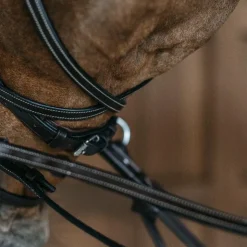 Dyon - Bridon Working Motion Working By Havane