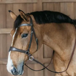 Dyon - Bridon Working Motion Working By Havane