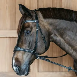 Dyon - Bridon Working Motion Working By Noir Outlet