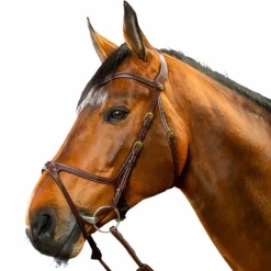 Dyon - Bridon X-Fit D Collection Havane