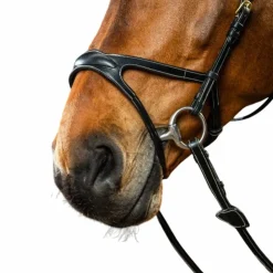 Dyon - Bridon X-Fit D Collection Noir Clearance