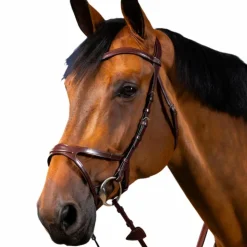 Discount Dyon - Bridon X-Fit New English Collection Havane