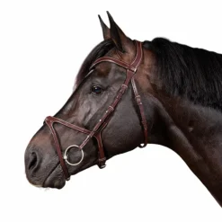 Dyon - Bridon X-Fit US Collection Havane Hot