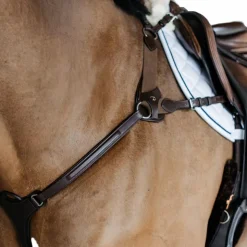 Sale Dyon - Collier de chasse 5 points élastique New English Collection Marron