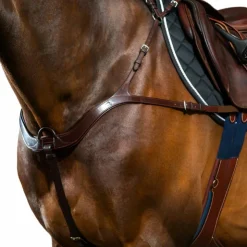 Discount Dyon - Collier de chasse anatomique New English Collection brun Marron