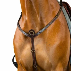 Discount Dyon - Collier de chasse D Collection brun Marron