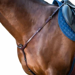 Online Dyon - Collier de chasse New English Collection brun Marron