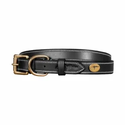 Dyon - Collier pour chien cuir Plat Noir Outlet