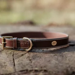 Dyon - Collier pour chien cuir Plat brun Marron Hot