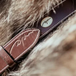 Dyon - Collier pour chien cuir Plat brun Marron Hot