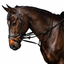 Sale Dyon - Enrênement Howlett complet Working by Noir