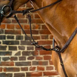 Dyon - Fourchette de martingale à anneaux élastique D Collection brun Marron