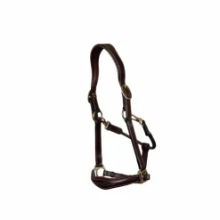 Dyon - Licol cuir D Collection brun Marron Sale