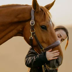 Dyon - Licol cuir D Collection brun Marron Sale