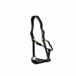 Clearance Dyon - Licol cuir D Collection Noir