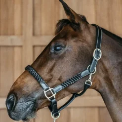 Dyon - Licol Tressé Working By Dy'on Noir Online