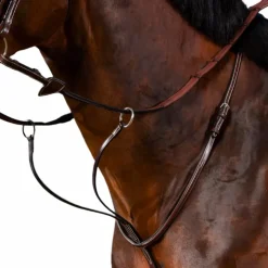 Dyon - Martingale à anneaux US Collection brun Marron