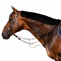 Dyon - Martingale à anneaux US Collection brun Marron