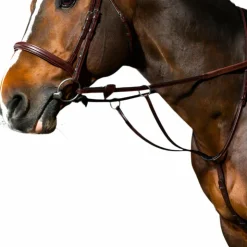 Online Dyon - Martingale à anneaux New English Collection brun Marron