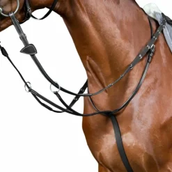 Online Dyon - Martingale à anneaux Working By Noir