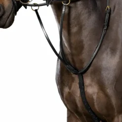 Dyon - Martingale à anneaux D Collection Noir Online