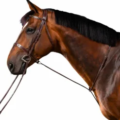 Dyon - Martingale fixe US Collection brun Marron New