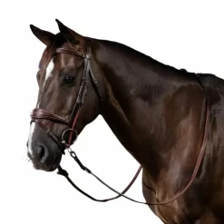 Clearance Dyon - Montants de releveur US Collection Marron