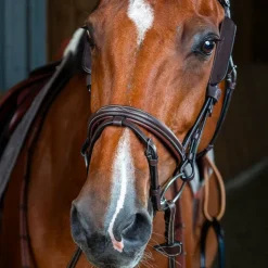 Online Dyon - Montants Focus brun Marron