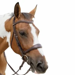 Dyon - Muserolle anatomique sans flash English Collection Marron Best